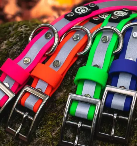 Reflective Dog Collar