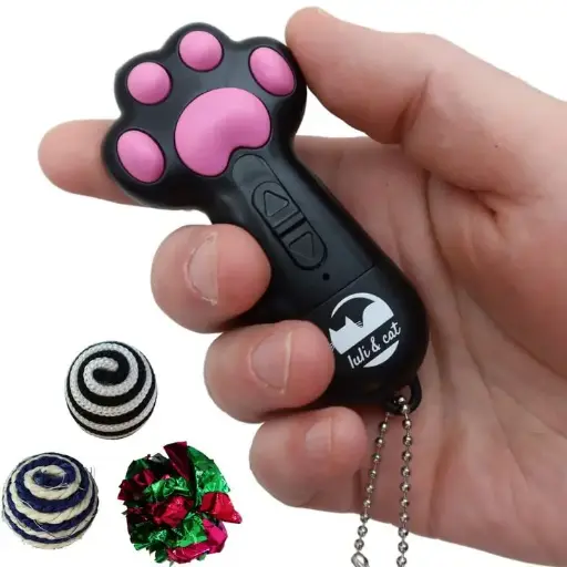 Interactive Laser Pointer Toy