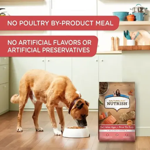 Premium Salmon & Rice Dog Food