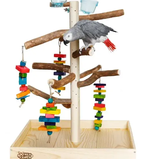 Bird Perch Stand